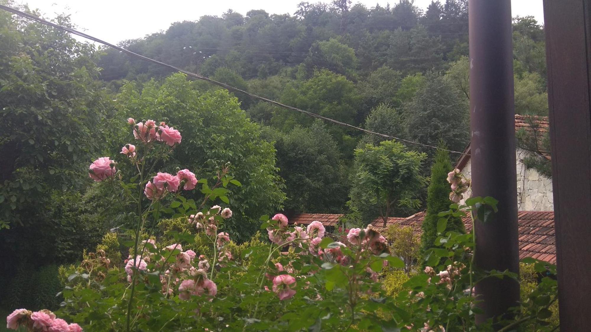 Eco Garden Bed & Breakfast ดีลีจาน ภายนอก รูปภาพ
