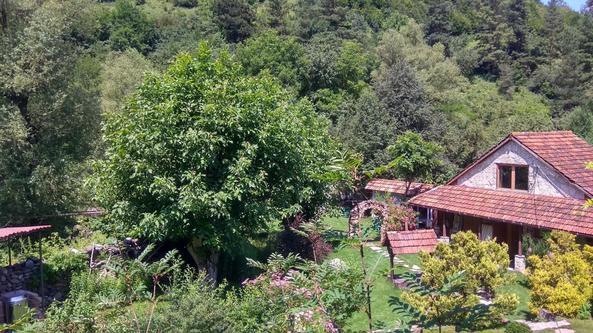 Eco Garden Bed & Breakfast ดีลีจาน ภายนอก รูปภาพ