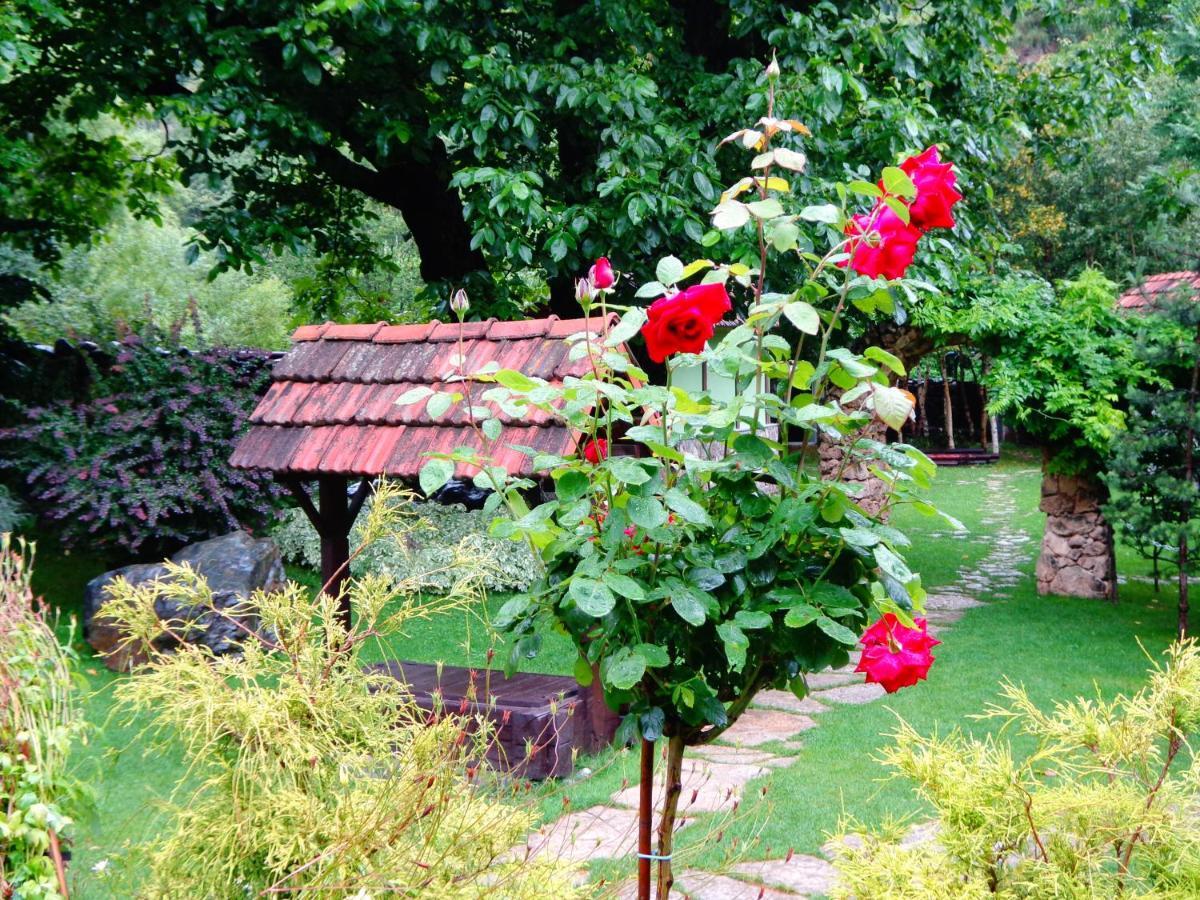 Eco Garden Bed & Breakfast ดีลีจาน ภายนอก รูปภาพ